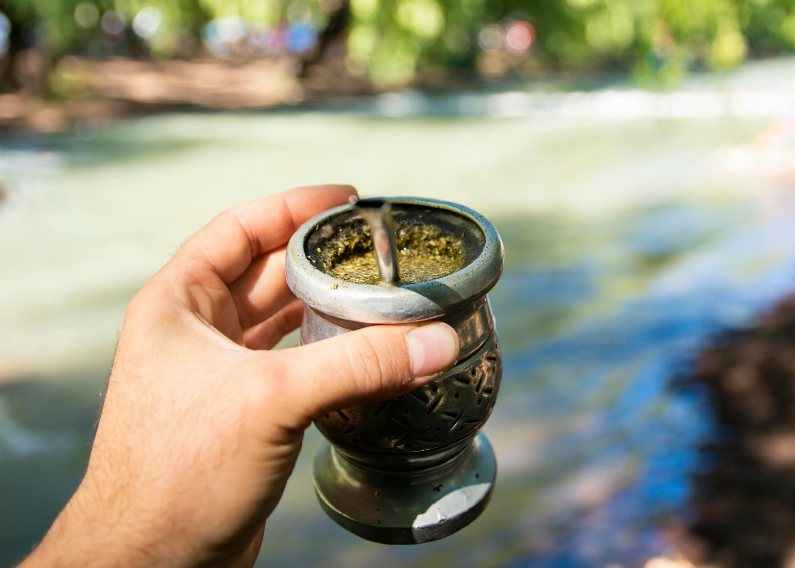 Ruta de la Yerba Mate: tradición, cultura y sabor misionero