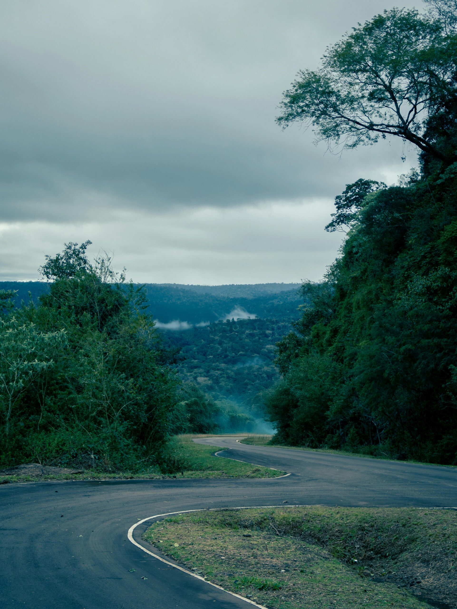Selva Misionera: biodiversidad que sorprende